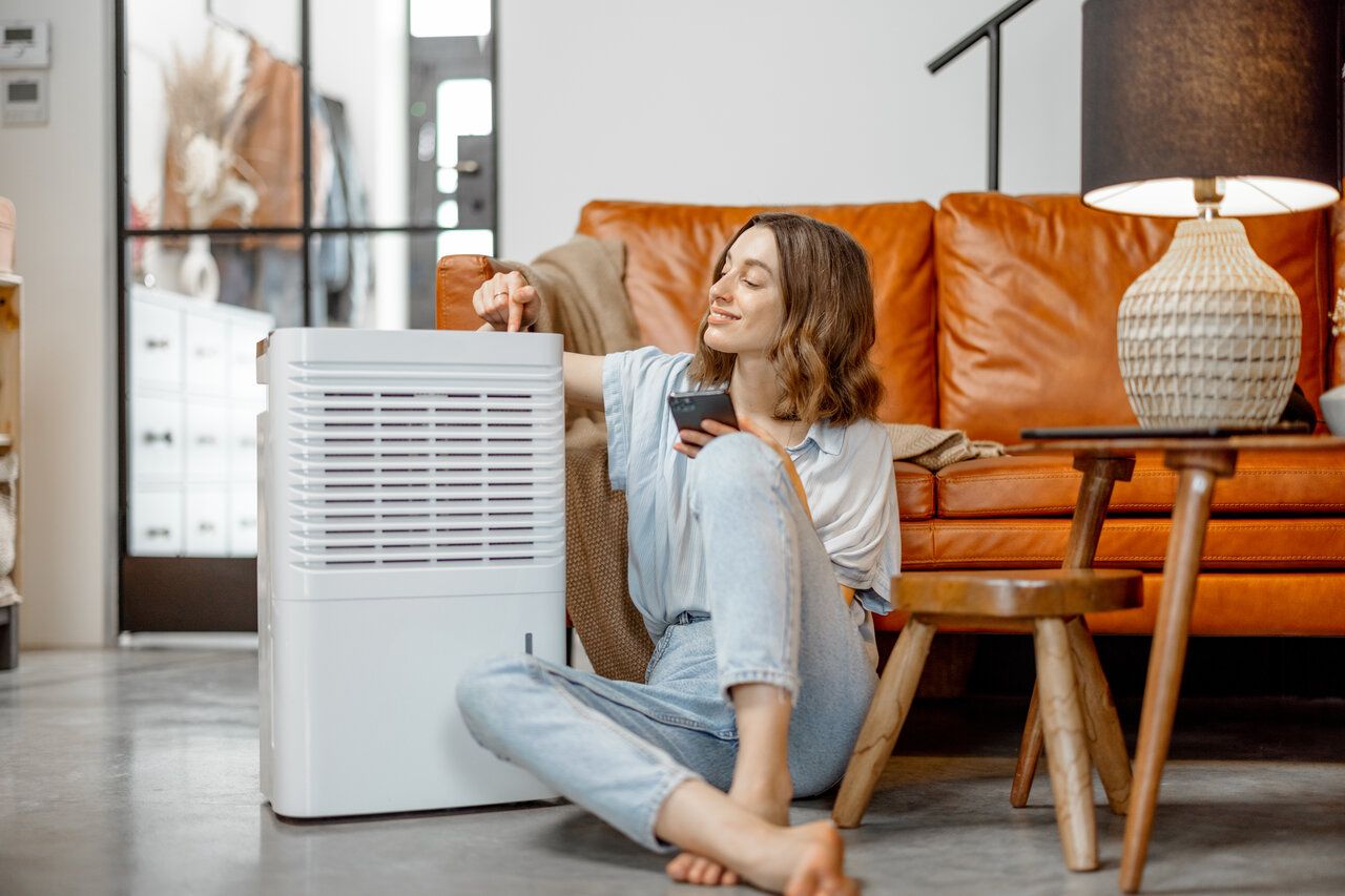 dehumidifier