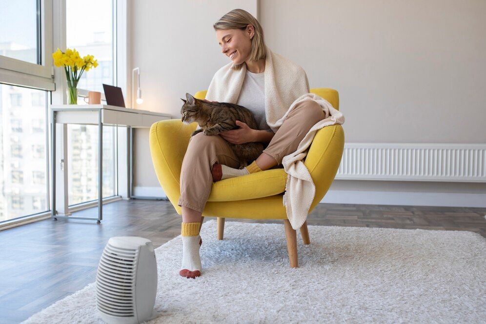 Air Purification Air Purification