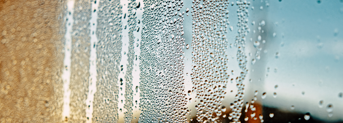 How Humidity Affects Your Home Comfort in Texas and What to Do About It
